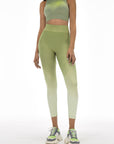 YPL Aurora Gradient Yoga Pants